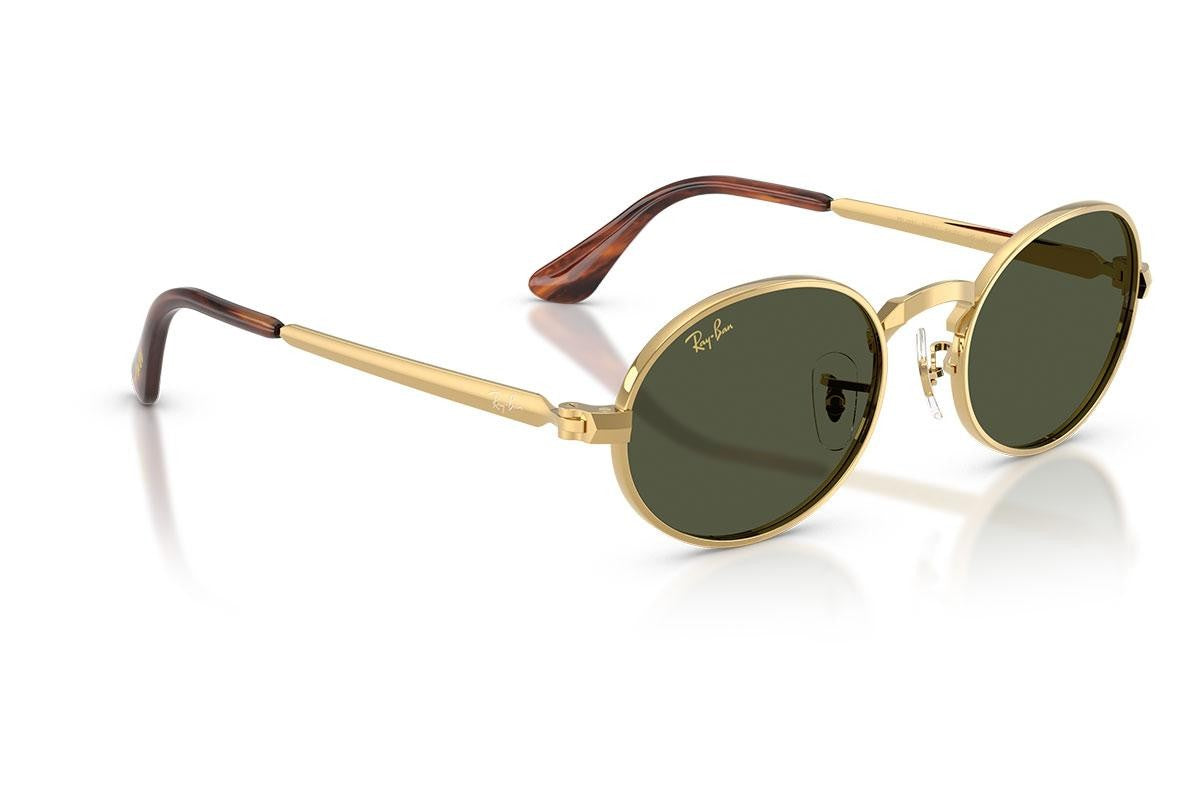 RayBan RB3931 001/31