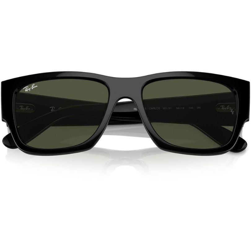 Ray-Ban Carlos RB0947S 901/31