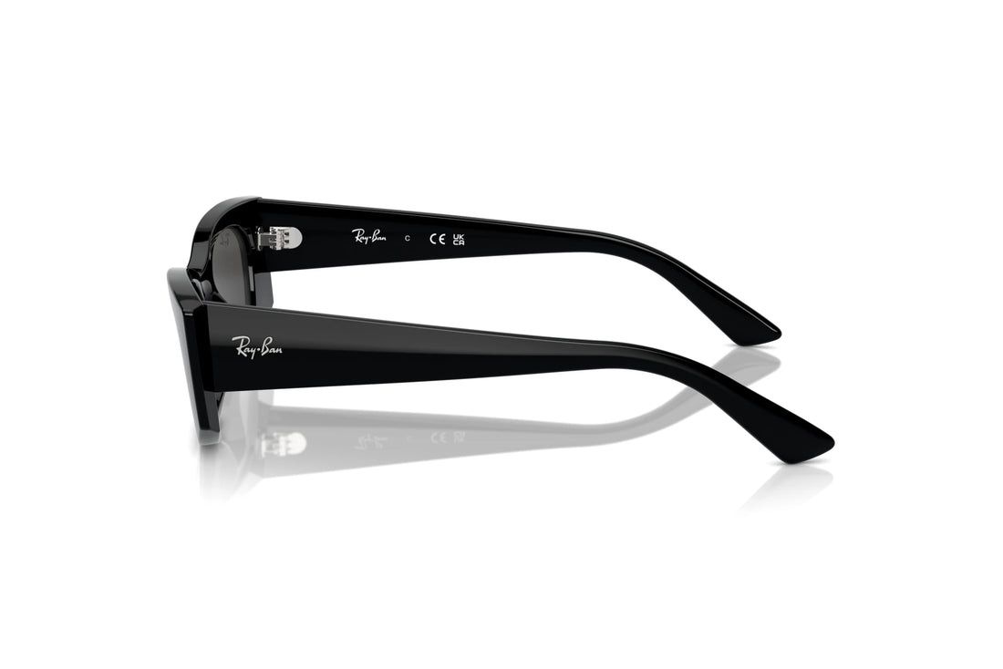 Ray-Ban KAT RB4427 - 667787