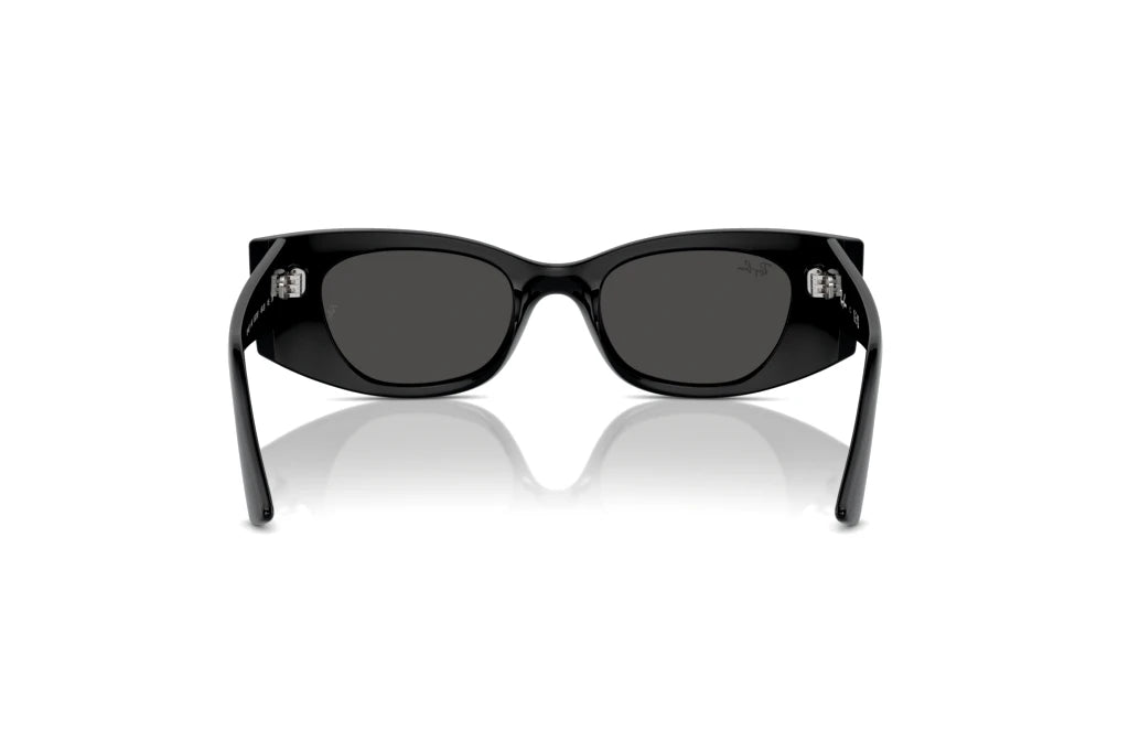 Ray-Ban KAT RB4427 - 667787