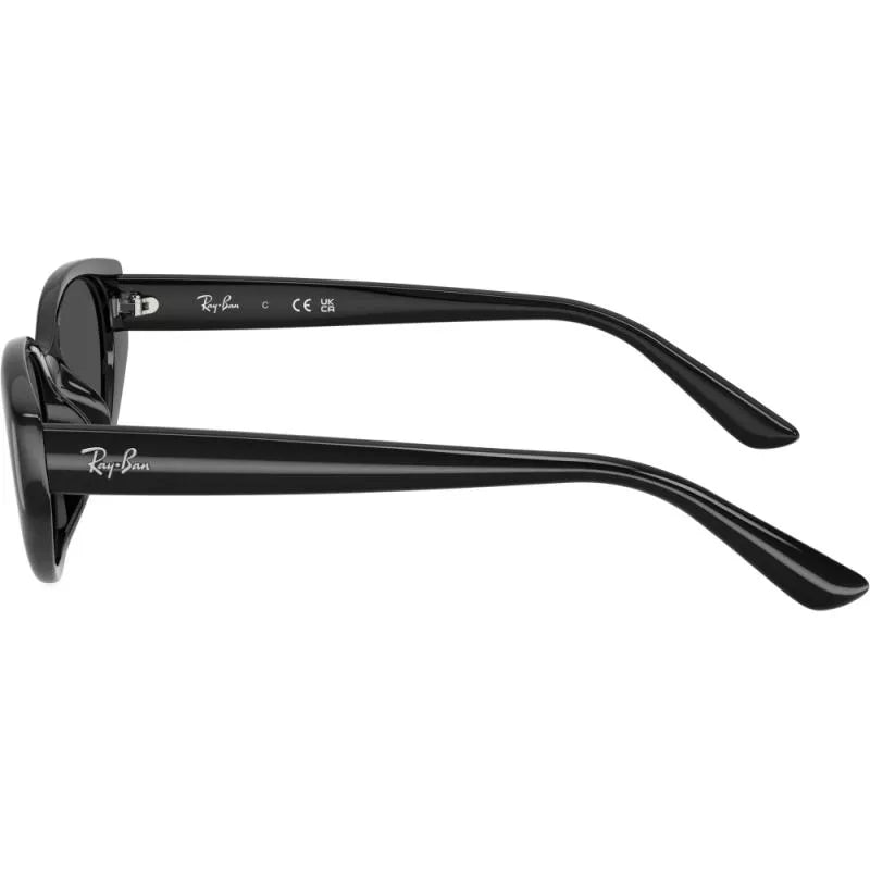 RayBan RB4457D 6677/87
