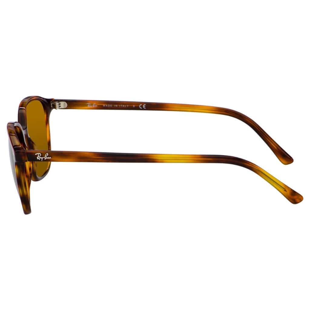 RayBan LEONARD RB2193 954/33